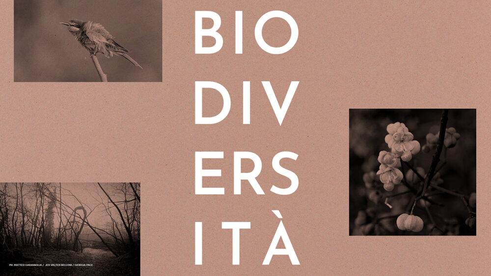 Dal 5 al 30 giugno 2024 presso la Centrale dell’Acqua di Milano IIF, Istituto Italiano di Fotografia, presenta la mostra fotografica “Biodiversità: il motore della vita”.