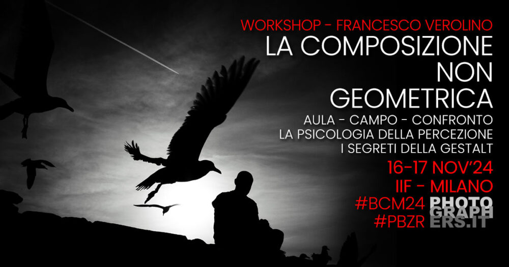 WORKSHOP LA COMPOSIZIONE NON GEOMETRICA MILANO – 16/17 NOV’24 DOCENTE FRANCESCO VEROLINO