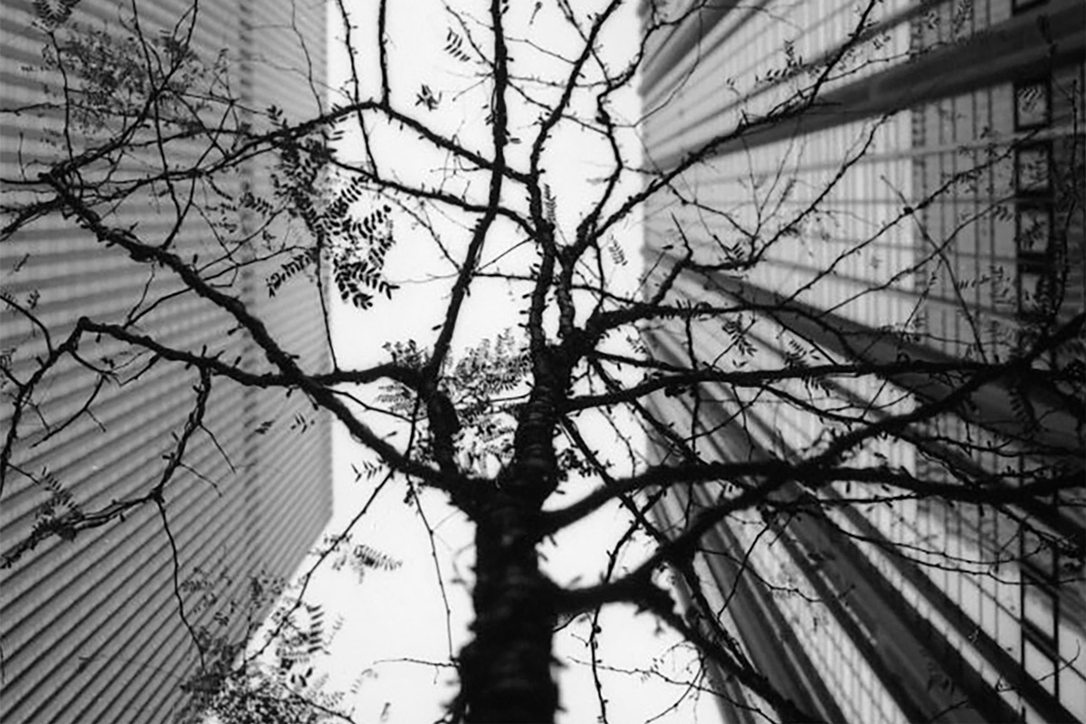 Mostra-Light_&_darkness